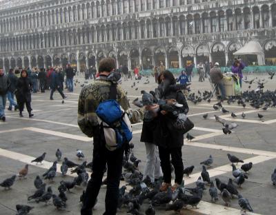 Pigeon People - San Marco.jpg
