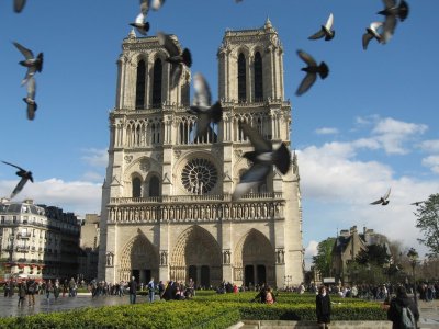 Notre Dame with Pigeons.jpg