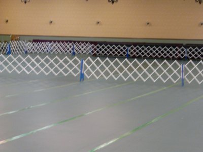 P1010741.JPG