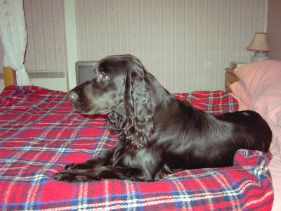 Pict0378.jpg