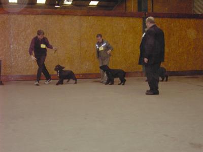 Manchester 032.jpg