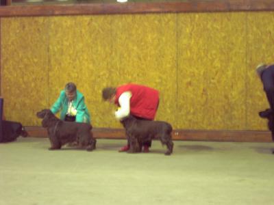 Manchester 041.jpg