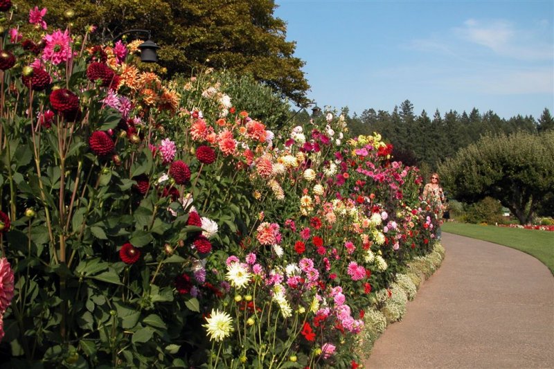 Garden Path-Butchart Gardens-DSCN0082 (11).JPG