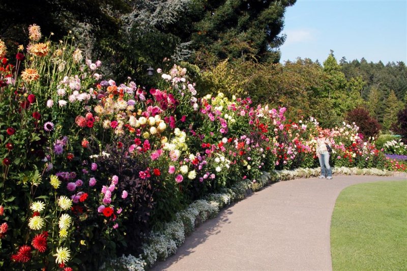Garden Path-Butchart Gardens-DSCN0084 (12).JPG