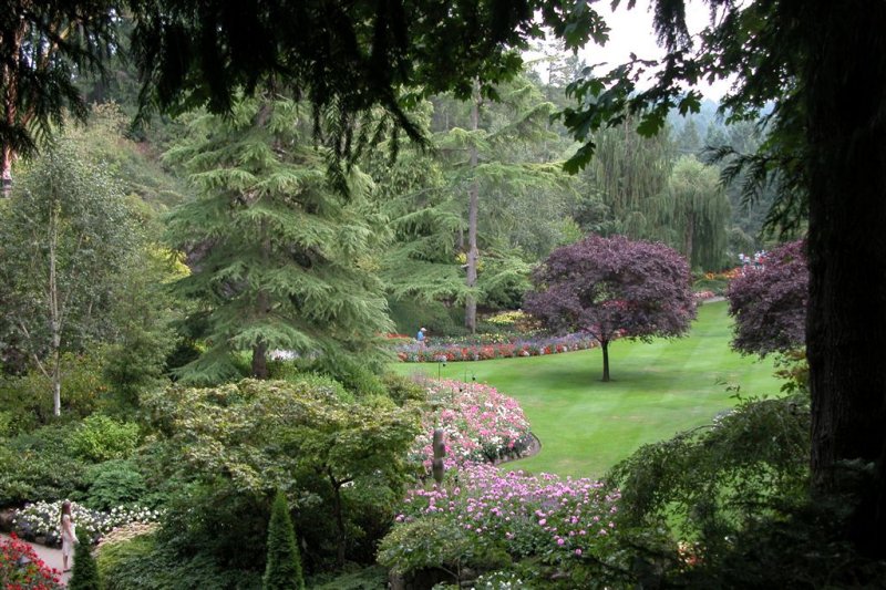Garden-Butchart Gardens-DSCN0067.JPG