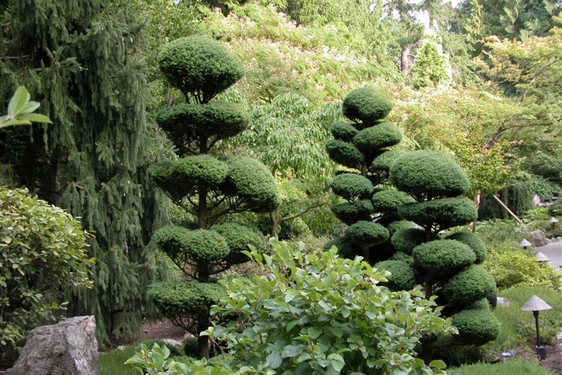 Japanese Garden-Butchart Gardens-DSCN0110 (20).JPG