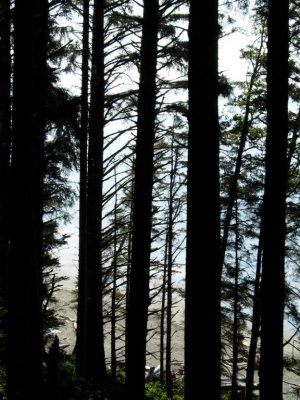 China Beach-view of water through trees-DSCN1289.jpg