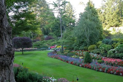 Garden-Butchart Gardens-DSCN0156.JPG