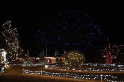 Winterhaven Christmas Lights