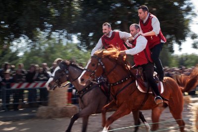 Sardinian riders