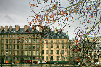January in Paris