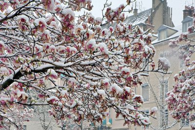 White white Easter