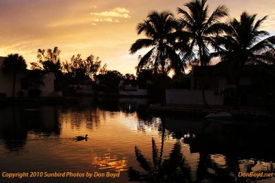 Sunset over Lake Mary in Miami Lakes,  Florida stock photo #0244