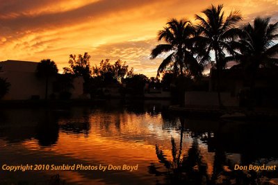 Sunset over Lake Mary in Miami Lakes,  Florida stock photo #0247