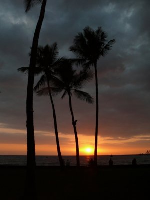 g3/20/410020/3/109417012.h15YYgy8.jpg