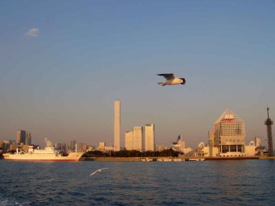 g3/20/410020/3/54699975.TokyoBird_R3.jpg