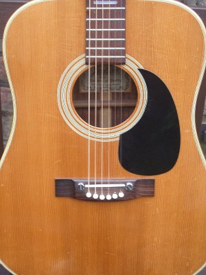 Solid Spruce Top (Gary)