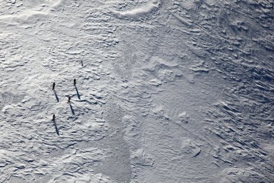  Four Skiers & A Dog:  Bakers Summit Plateau  <br> (MtBaker021810-67.jpg)