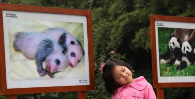 Portraits, Panda Breeding & Research Center  (card3x2-040410-7adj.jpg)