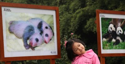 Portraits, Panda Breeding & Research Center (card3x2-040410-7adj.jpg)