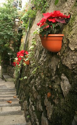 Narrow streets decorated with flower