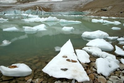 Ice floating at the melt water pond, Mt. Edith Carvell