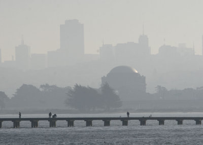 On our final morning (Tues.) we drove around San Francisco. This was taken near Crissy Field @ 11 AM with a telephoto lens.