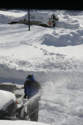 g3/20/470720/3/121876728.jZDVsrzr.jpg