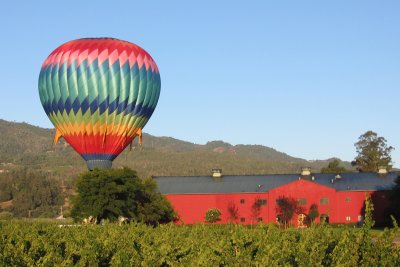 Pick only 1 pic from this SF folder?  Who made THAT stupid rule?  Oh, I did!  (Provenance Vineyards, northern California)
