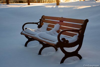 Park Bench In The Snow