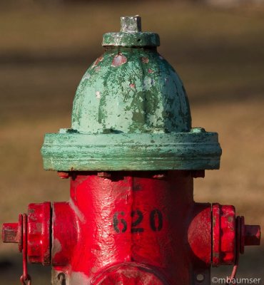 Hydrant 620