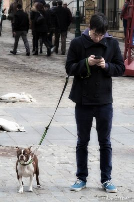 Walking The Dog