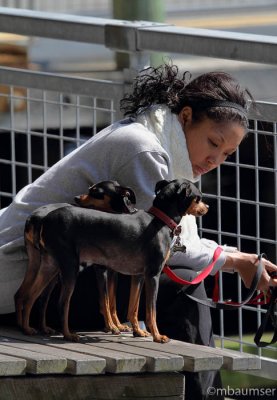 With Her Dogs