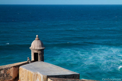 Soldier Looking Out  At El Morro