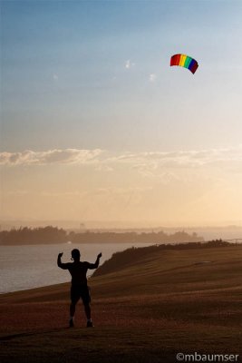 Kite Flyer