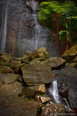 LA Coca Falls El Yunque Rainforest