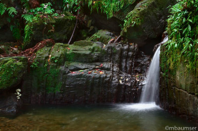 Water Fall At El Yunque National Rain Forest