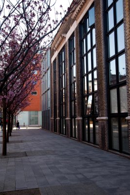 2010-04-17_0166_IMG_2599.jpg