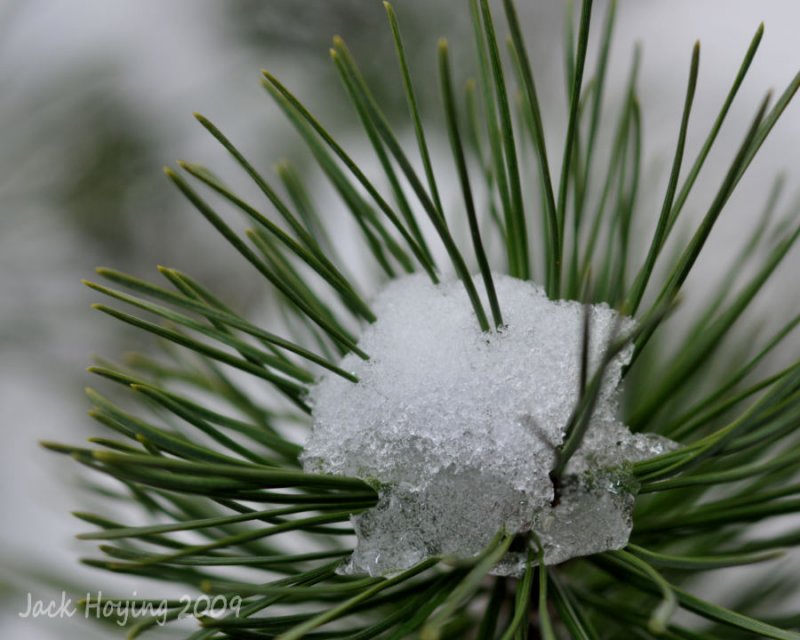 First Day of Winter