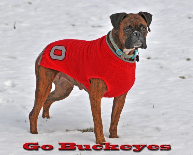 Go Buckeyes!!!  Beat the Ducks!!