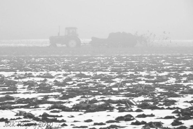 Spreading Natural Fertilizer on a Foggy Day