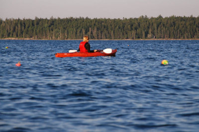 Lobster trap markers (the first of thousands that we saw over the next week)