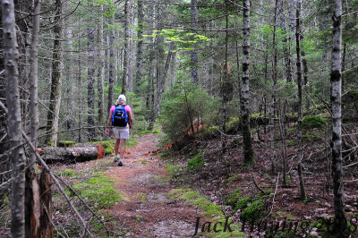 Trail from Jordon's Pond to the Ocean