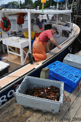 Bringing in their mornings catch of Lobster