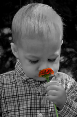 JH3_3402a.jpg