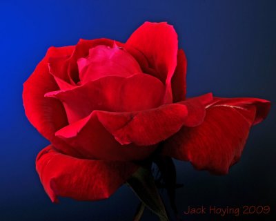 g3/20/491620/3/113283002.ZC4Xk2xZ.jpg