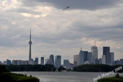 Toronto skyline from Tommy Thompson Park