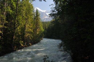 Mt Robson above Robson Creek