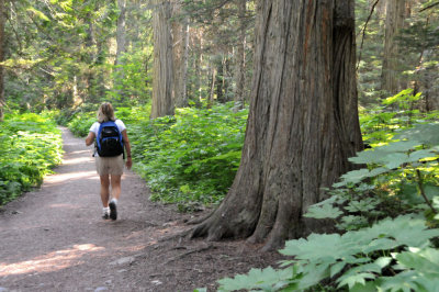 Berg Lake Trail to Kinney Lake