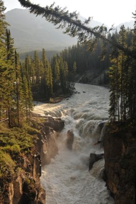 Sunwapta Falls